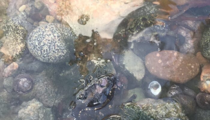 Beach trips (1)