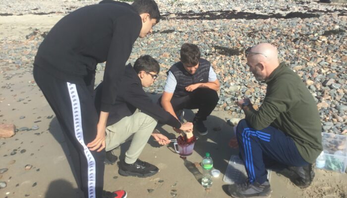 Beach trips (3)