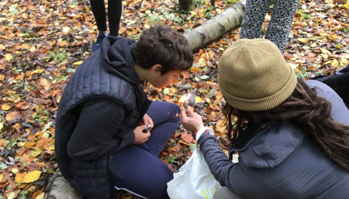 Outdoor learning 2
